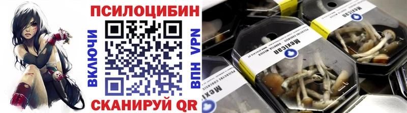 блэк спрут tor что такое наркотик Сурск Псилоцибиновые грибы Psilocybine cubensis